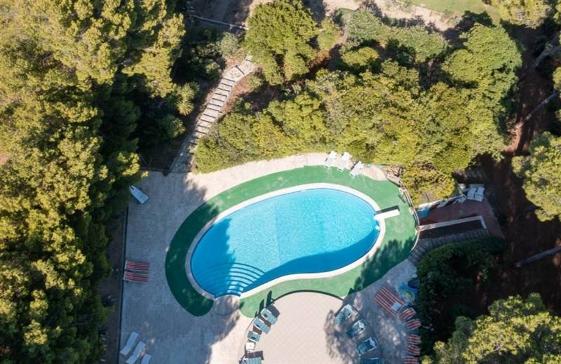 Villa in Baratti con parco privato e vigneti 