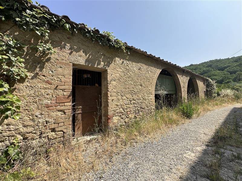 Nel Cuore della Val d'Orcia, Storica Azienda agricola nei pressi di Pienza