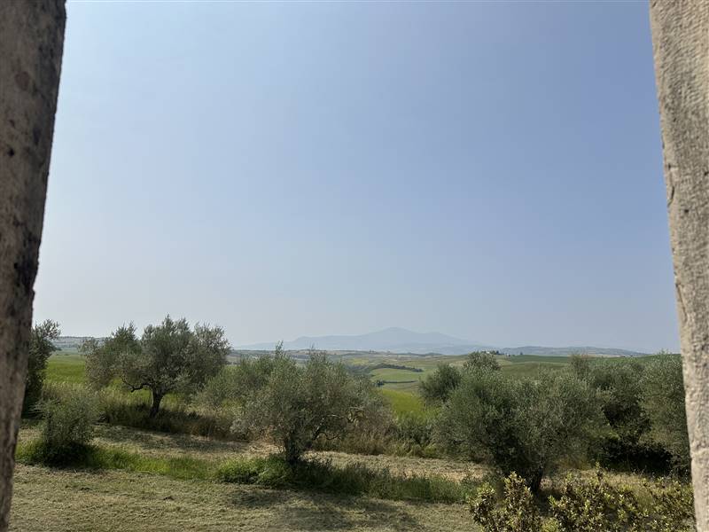 Nel Cuore della Val d'Orcia, Storica Azienda agricola nei pressi di Pienza