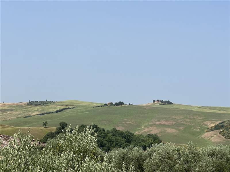 Nel Cuore della Val d'Orcia, Storica Azienda agricola nei pressi di Pienza