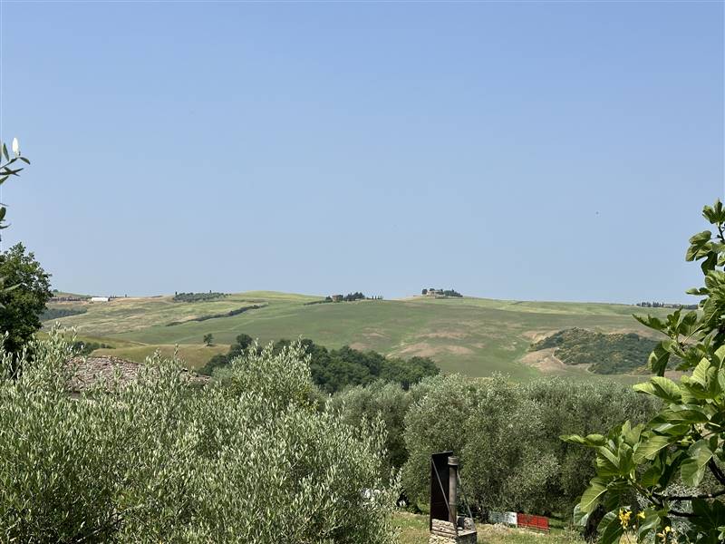 Nel Cuore della Val d'Orcia, Storica Azienda agricola nei pressi di Pienza