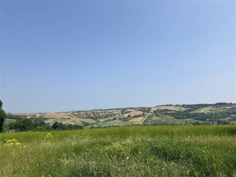 Nel Cuore della Val d'Orcia, Storica Azienda agricola nei pressi di Pienza