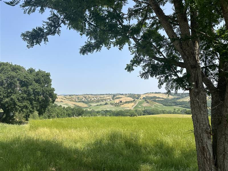 Nel Cuore della Val d'Orcia, Storica Azienda agricola nei pressi di Pienza