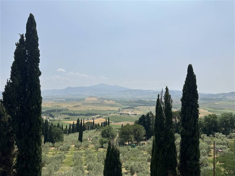 Nel Cuore della Val d'Orcia, Storica Azienda agricola nei pressi di Pienza