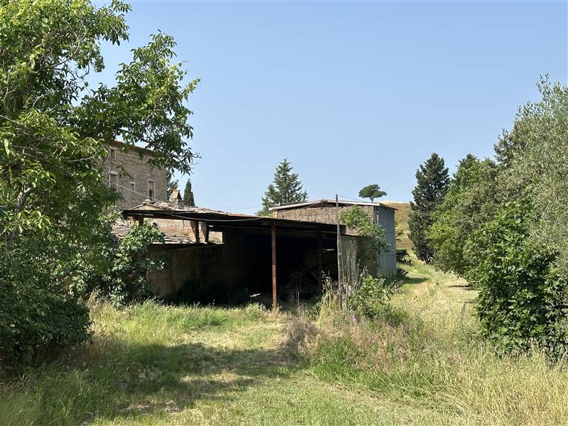 Nel Cuore della Val d'Orcia, Storica Azienda agricola nei pressi di Pienza