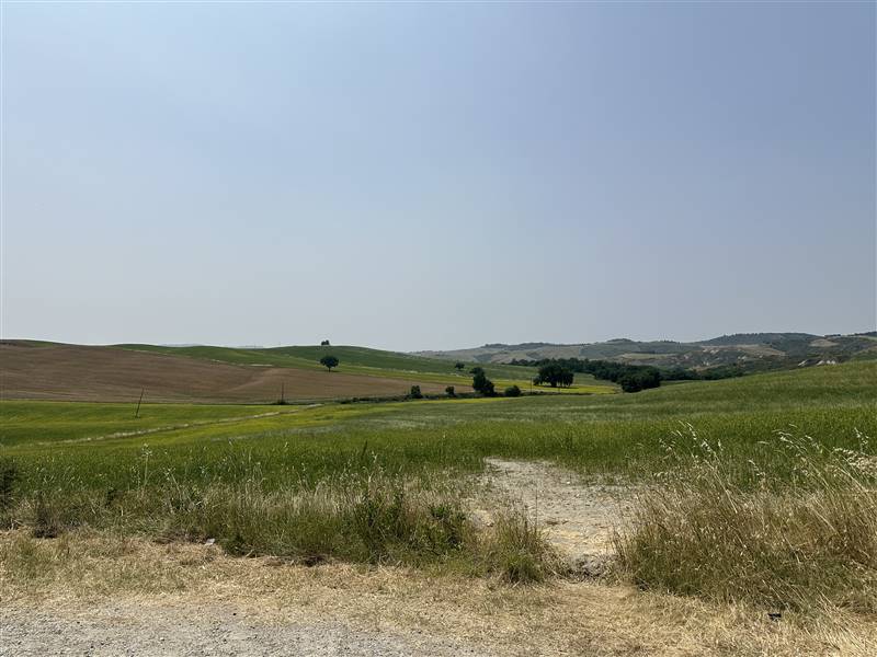 Nel Cuore della Val d'Orcia, Storica Azienda agricola nei pressi di Pienza
