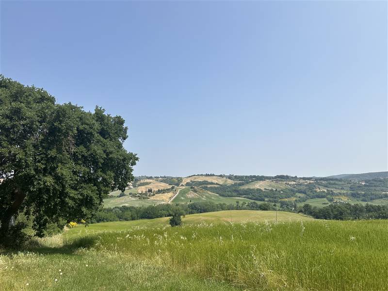 Nel Cuore della Val d'Orcia, Storica Azienda agricola nei pressi di Pienza