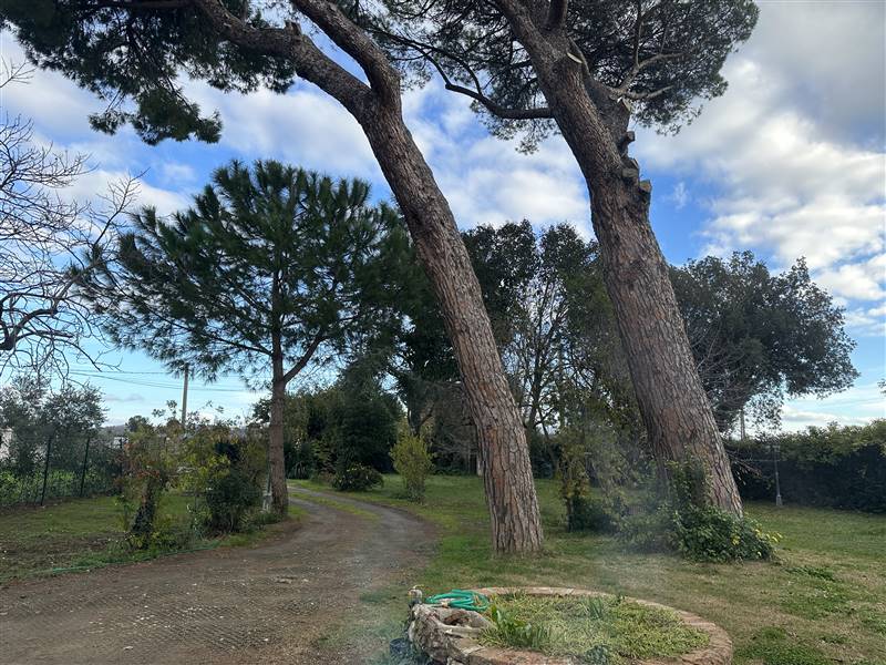 Porzione di Casolare immerso nella campagna della Costa degli Etruschi a pochi minuti dal mare