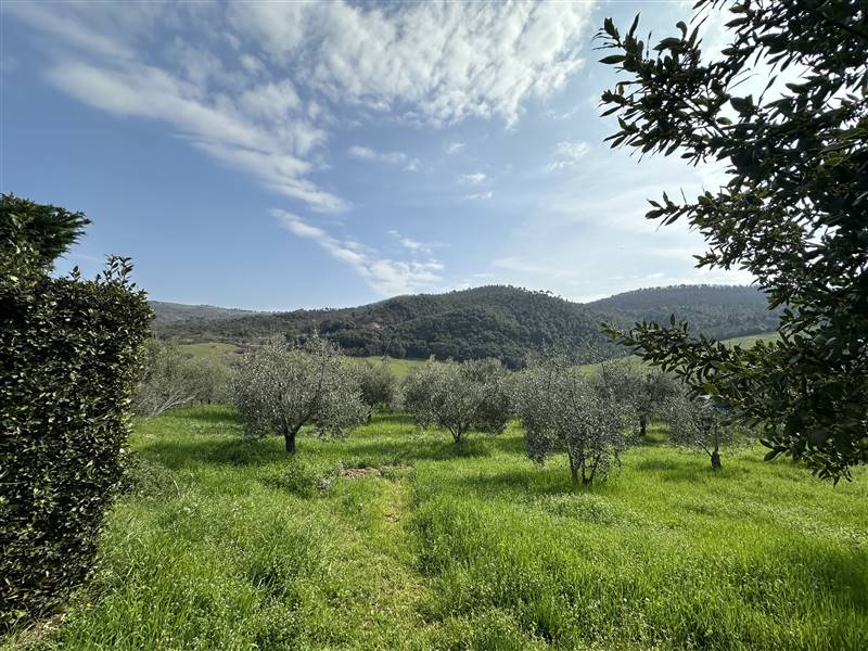 Esclusivo Agriturismo di Charme nelle Colline e con vista su Volterra