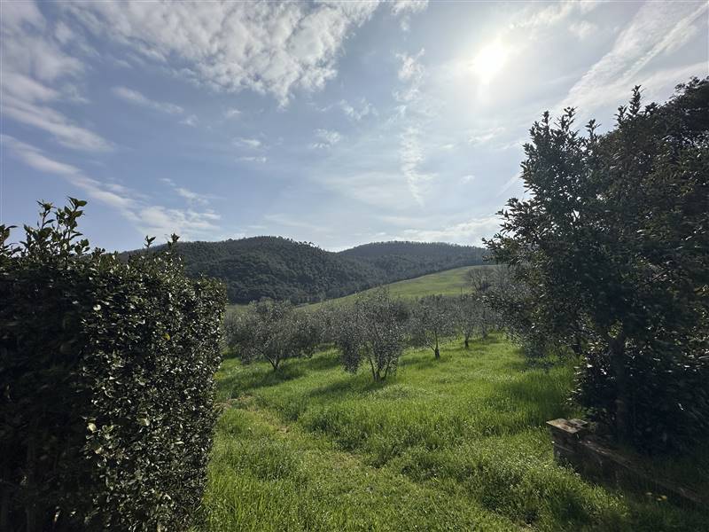Esclusivo Agriturismo di Charme nelle Colline e con vista su Volterra