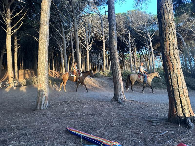 Elegante Residenza Liberty nel cuore di Marina di Cecina