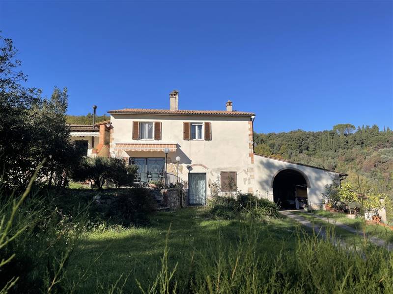 Casolare circondato da oliveta sulle colline livornesi