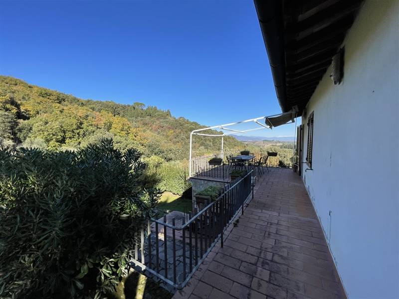 Casolare circondato da oliveta sulle colline livornesi