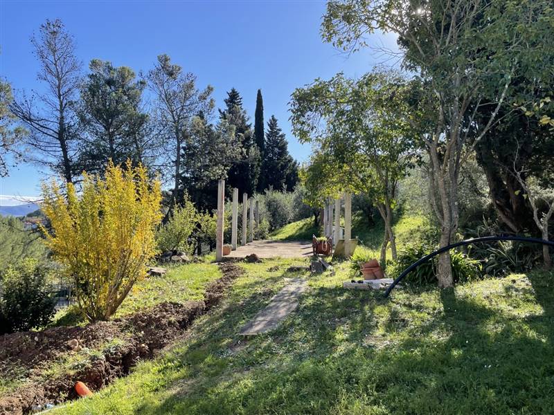 Casolare circondato da oliveta sulle colline livornesi
