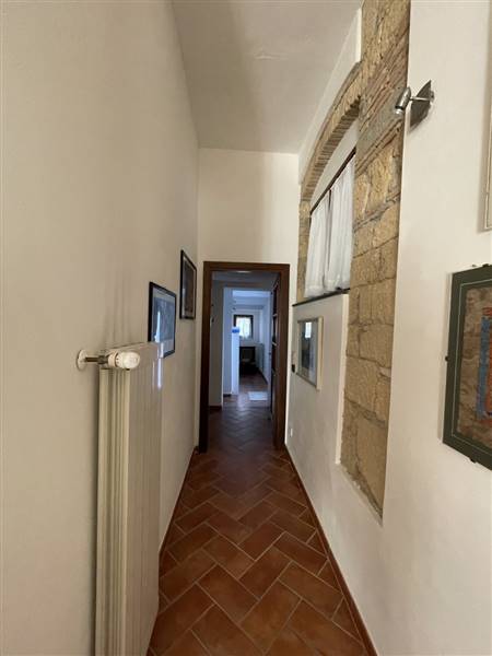 Casolare circondato da oliveta sulle colline livornesi