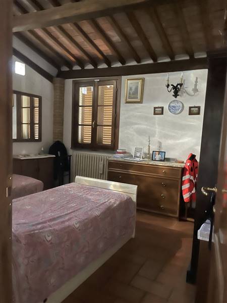 Casolare circondato da oliveta sulle colline livornesi