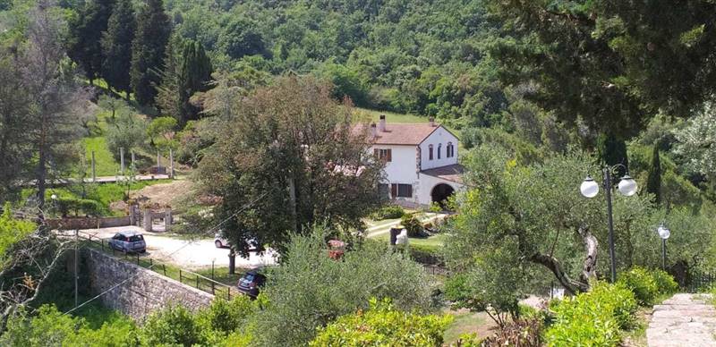 Casolare circondato da oliveta sulle colline livornesi