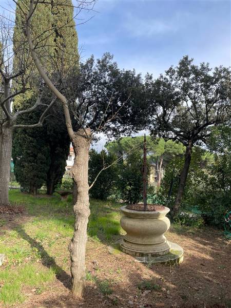 La Villa delle Statue di Castiglioncello 