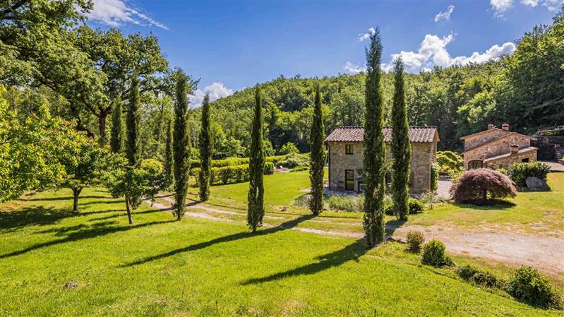 Incantevole Mulino antico nel cuore della campagna senese