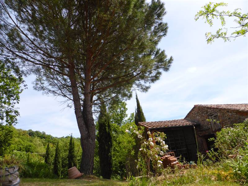 Antico Podere in pietra, un rifugio immerso nella campagna 