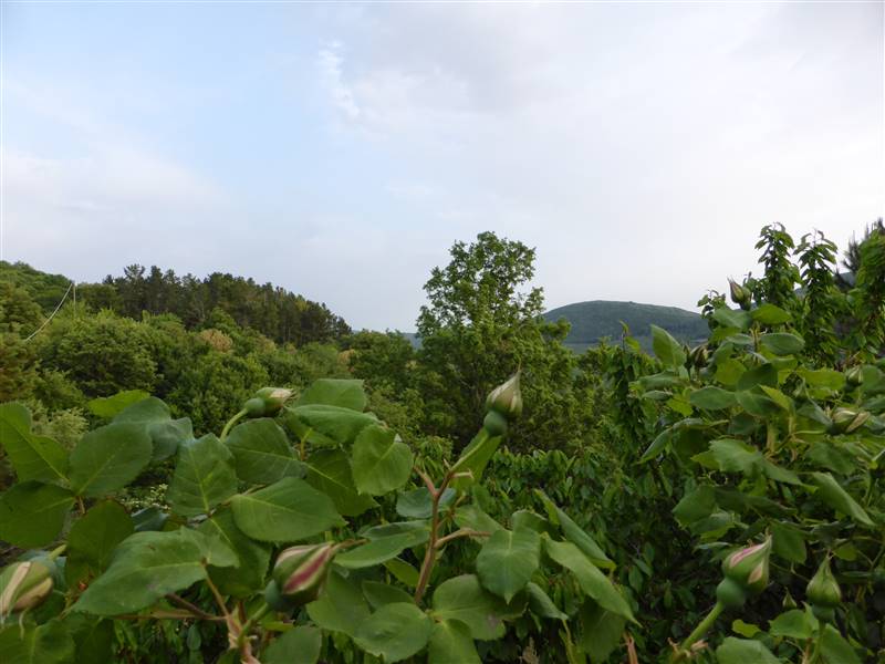Antico Podere in pietra, un rifugio immerso nella campagna 