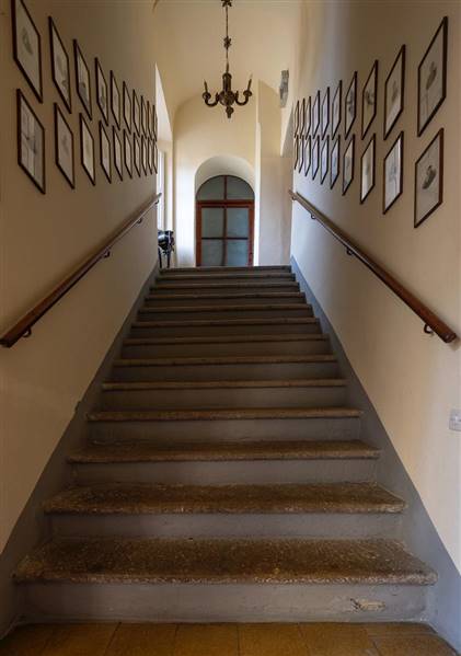 Tenuta storica del 1800 nel Cuore del Borgo Medioevale di Casale Marittimo