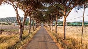 Agriturismo a pochi km dall'ingresso del Parco dell'Uccellina 