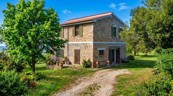 Stone farmhouse with olive grove for sale in Tuscany