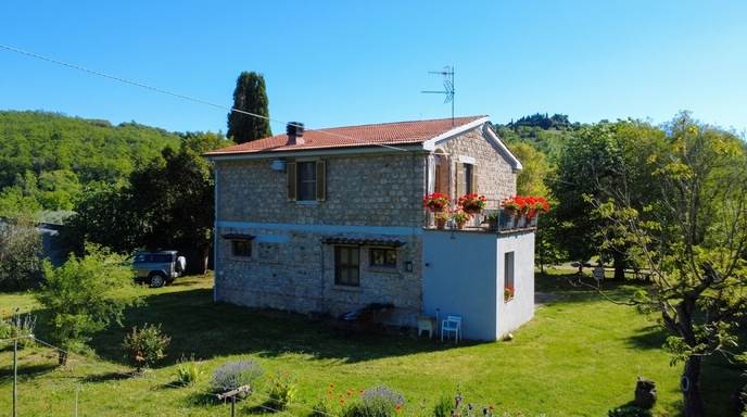 Stone farmhouse with olive grove for sale in Tuscany