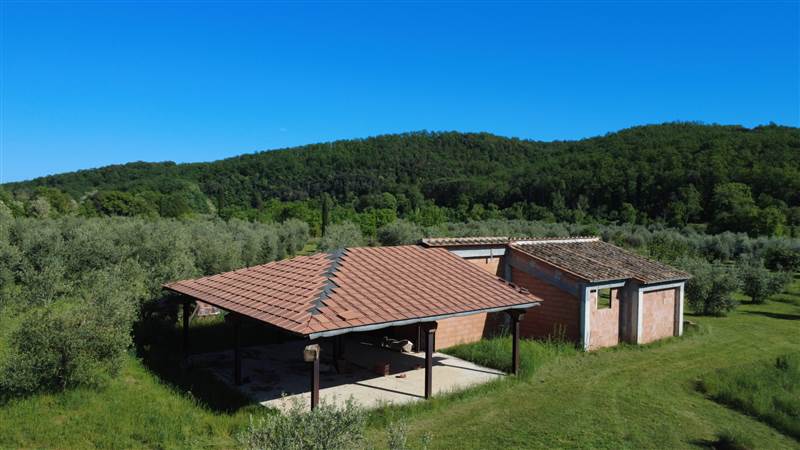 Stone farmhouse with olive grove for sale in Tuscany