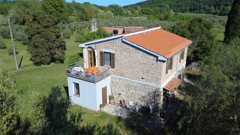 Stone farmhouse with olive grove for sale in Tuscany