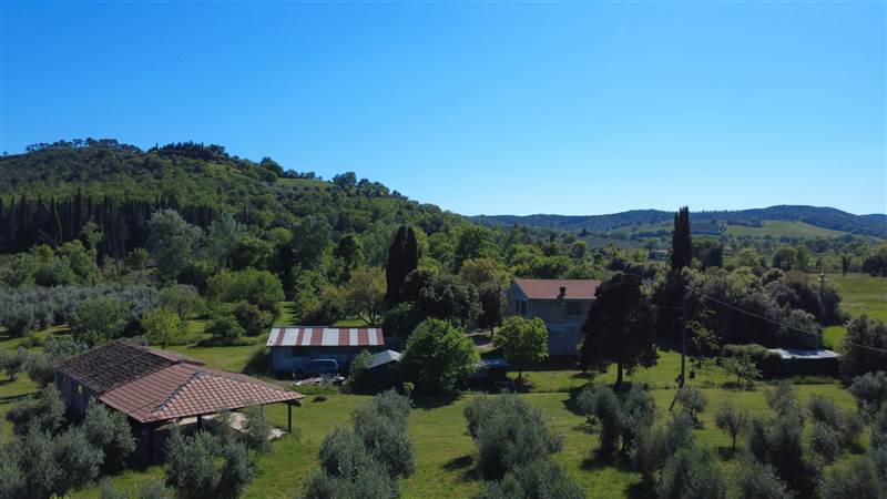 Stone farmhouse with olive grove for sale in Tuscany