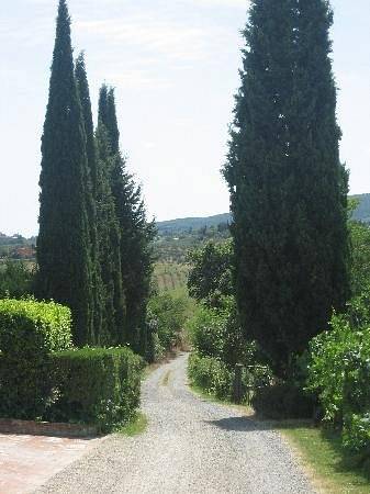 Struttura Ricettiva In Antica Canonica del 1400