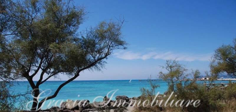 Elegante bilocale con giardino esclusivo a pochi passi dalle spiagge di Vada