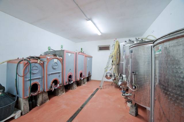 Azienda agricola, ubicata in posizione panoramica sulla città di Volterra