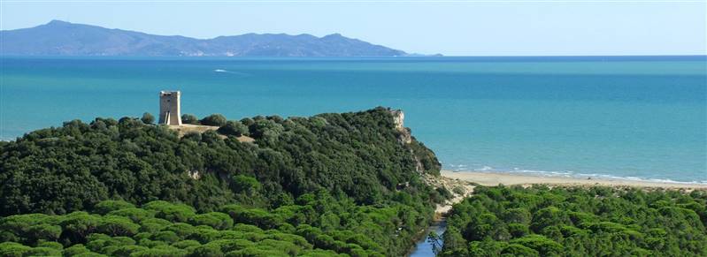 Casolare immerso nella campagna del Parco della Maremma, nella quiete della campagna ed a pochi minuti dalla splendida spiaggia di Cala Forno