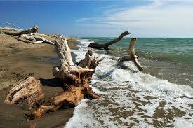 Casolare immerso nella campagna del Parco della Maremma, nella quiete della campagna ed a pochi minuti dalla splendida spiaggia di Cala Forno
