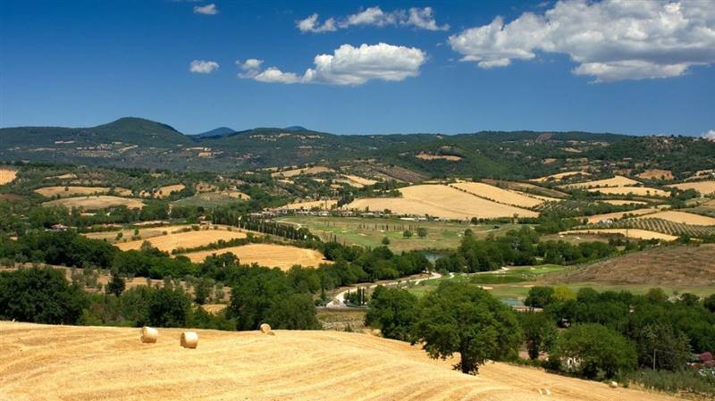 Incantevole Casolare Ristrutturato con Antico Mulino in Pietra nel Cuore della Maremma Toscana